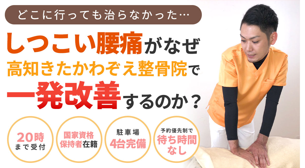 腰痛headPC用