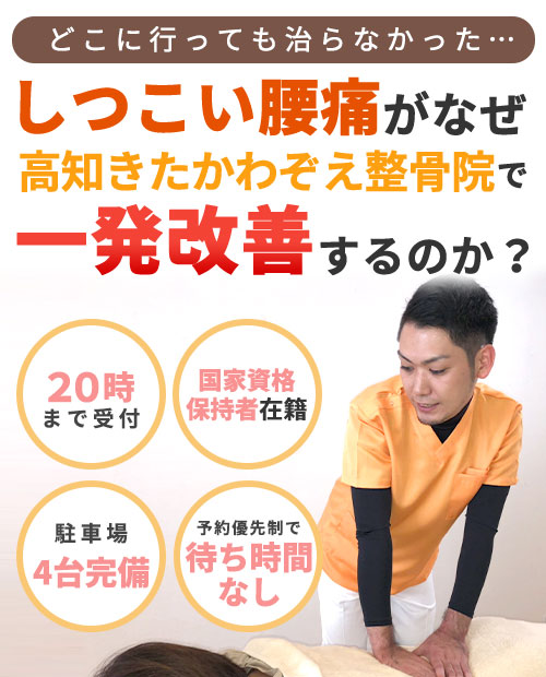 腰痛headSP用